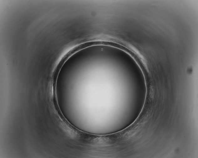 X0000100211368200806061336