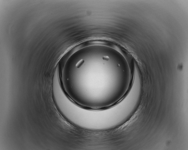 X0000100211369200806061336