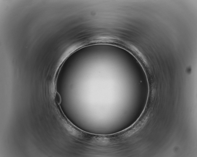 X0000100211370200806061336