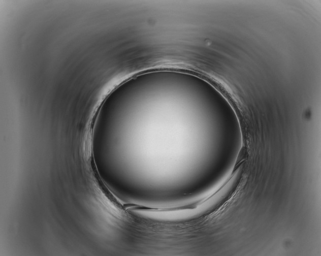 X0000100211371200806061336