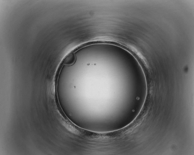 X0000100211372200806061336