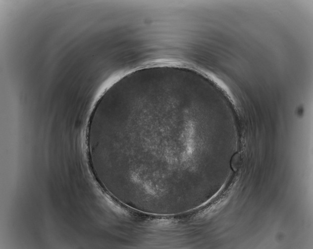 X0000100211373200806061336