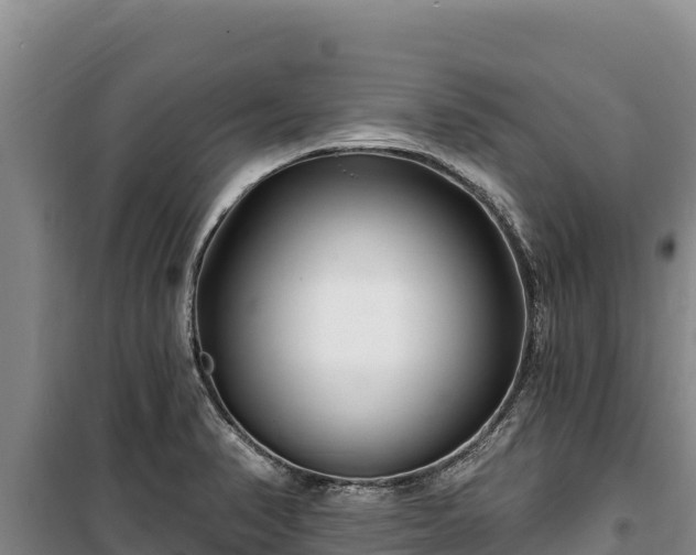 X0000100211374200806061336