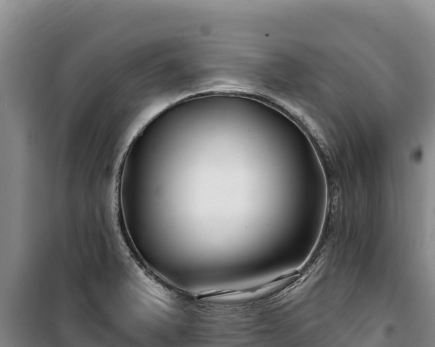 X0000100211375200806061336