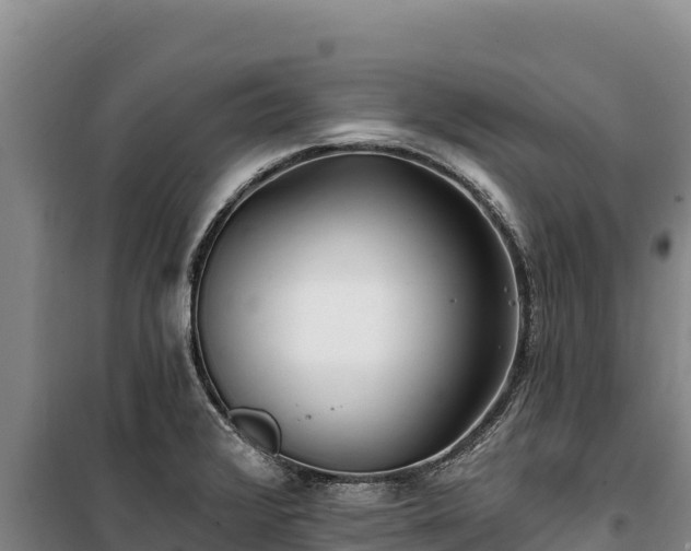 X0000100211376200806061336