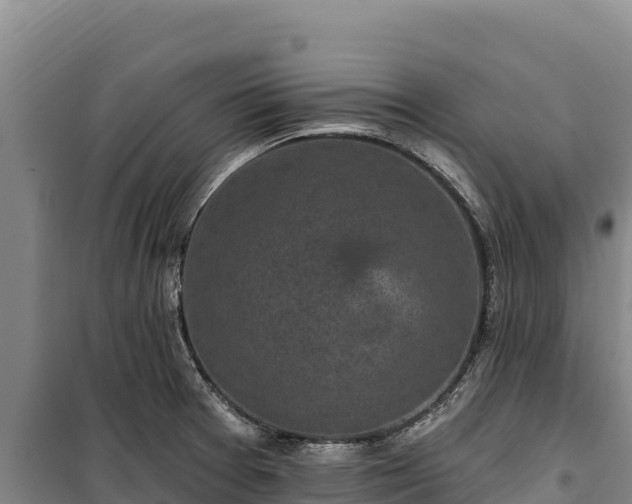 X0000100211377200806061336