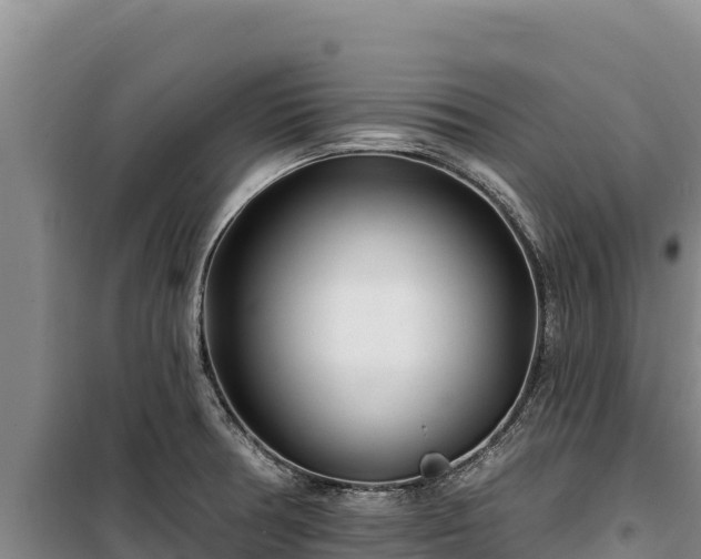 X0000100211378200806061336