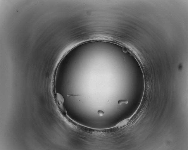 X0000100211379200806061336