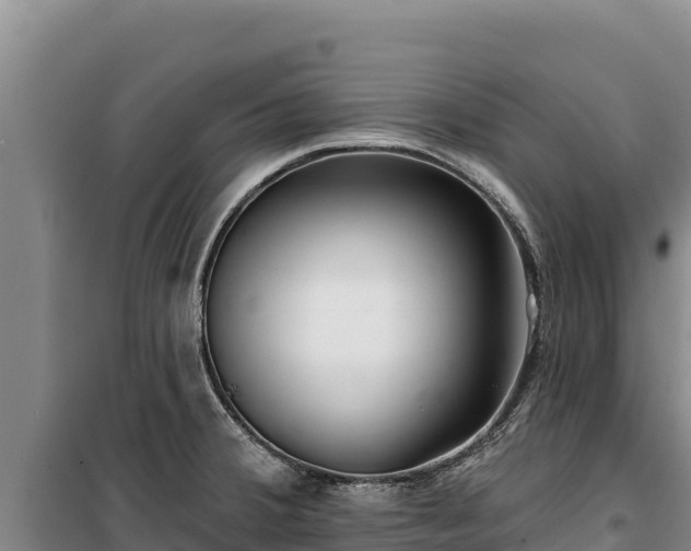 X0000100211380200806061336