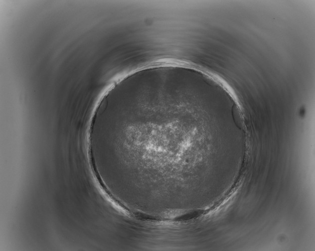 X0000100211381200806061336