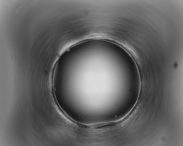 X0000100211382200806061336