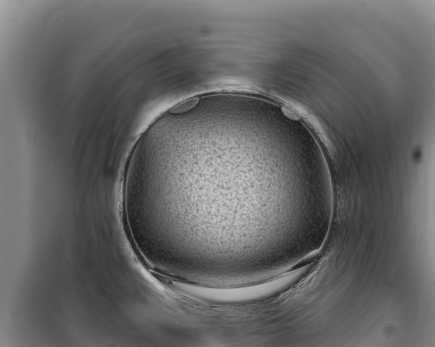 X0000100211383200806061336