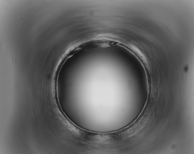 X0000100211384200806061336