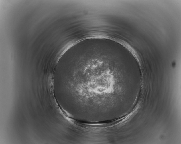 X0000100211385200806061336