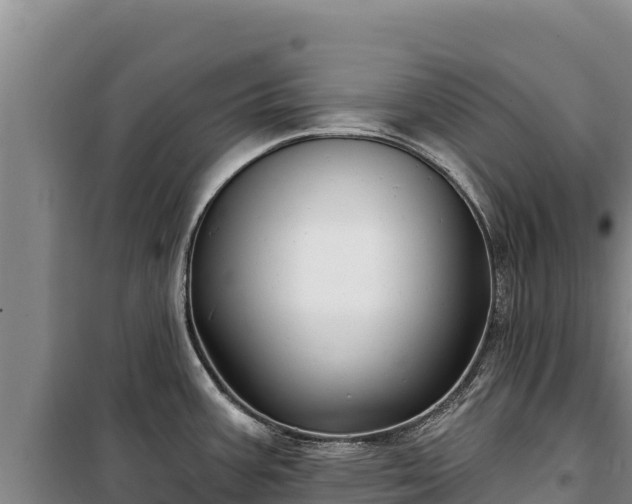 X0000100211387200806061335