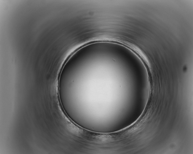 X0000100211388200806061335