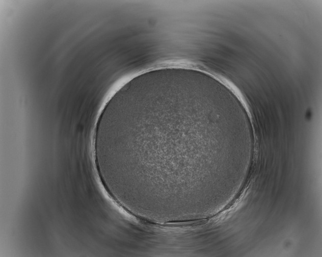 X0000100211389200806061335