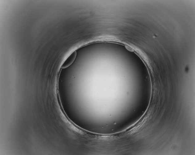 X0000100211390200806061335