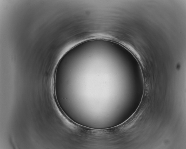 X0000100211391200806061335