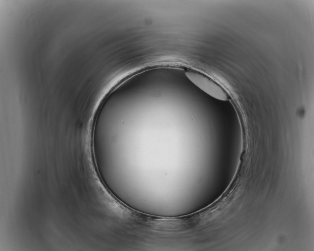 X0000100211392200806061335