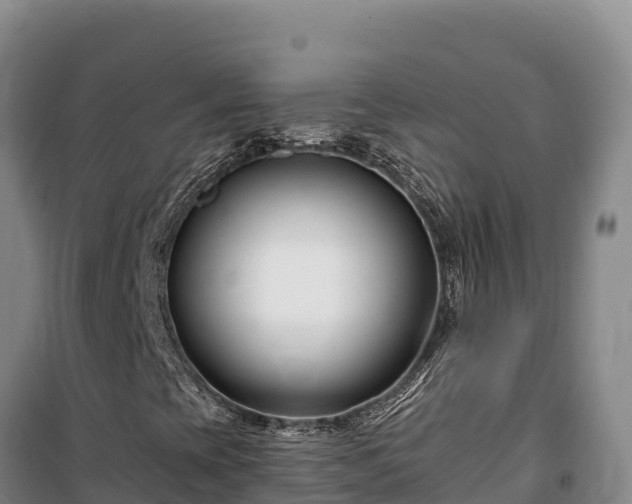 X0000100211393200806061335