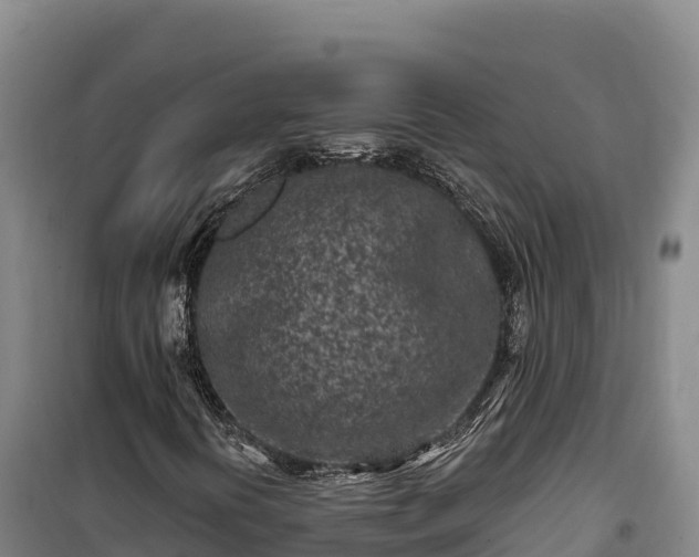 X0000100211394200806061335