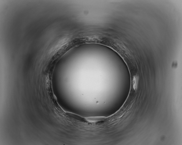 X0000100211395200806061335