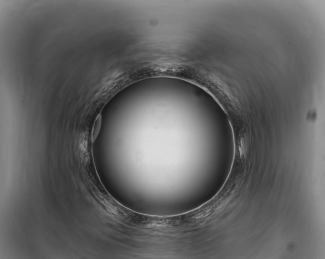 X0000100211396200806061335