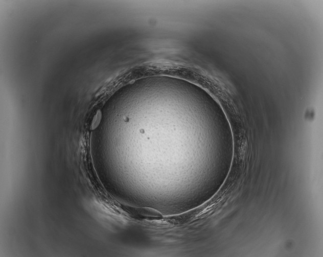 X0000100211397200806061335