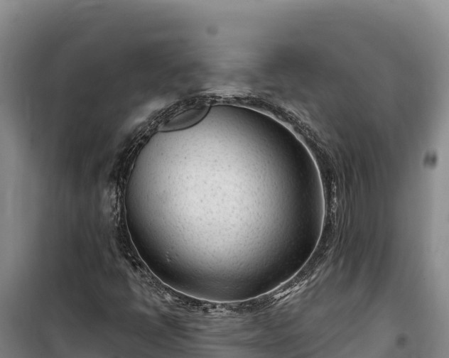 X0000100211398200806061335