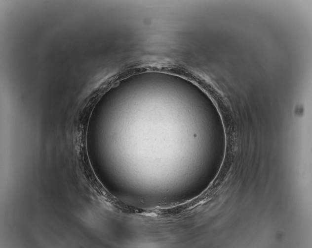 X0000100211399200806061335