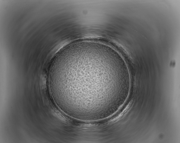 X0000100211401200806061335