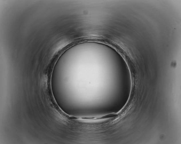 X0000100211402200806061335