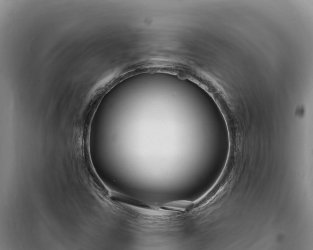 X0000100211403200806061335