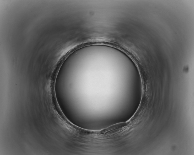 X0000100211404200806061335