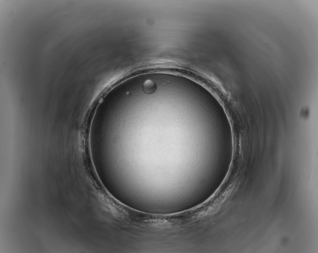 X0000100211405200806061335