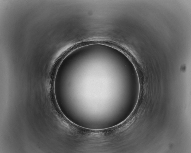 X0000100211406200806061335