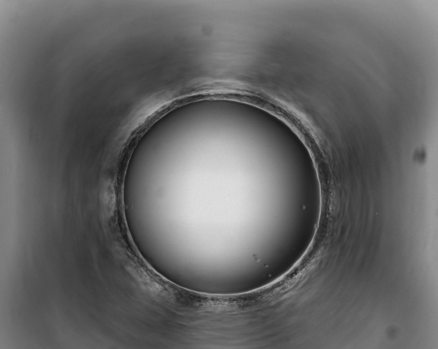 X0000100211407200806061335