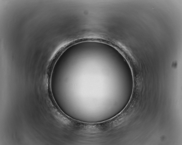 X0000100211408200806061335