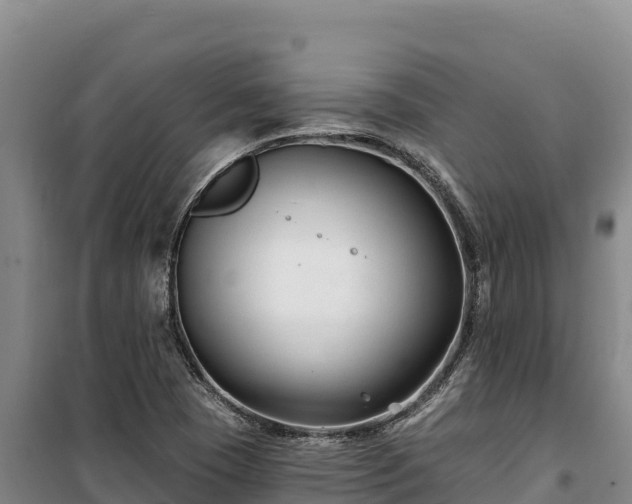 X0000100211409200806061335