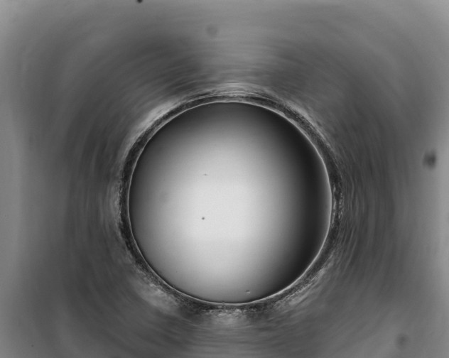 X0000100211410200806061335