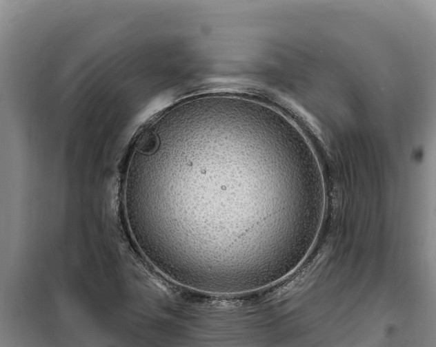 X0000100211411200806061335