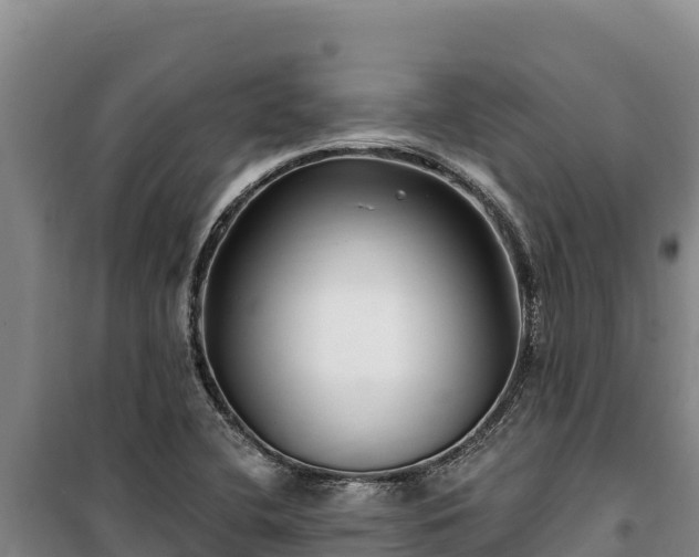 X0000100211412200806061335