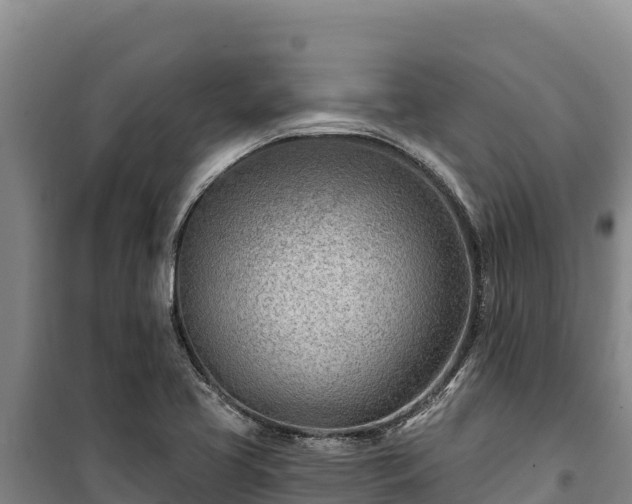 X0000100211413200806061335