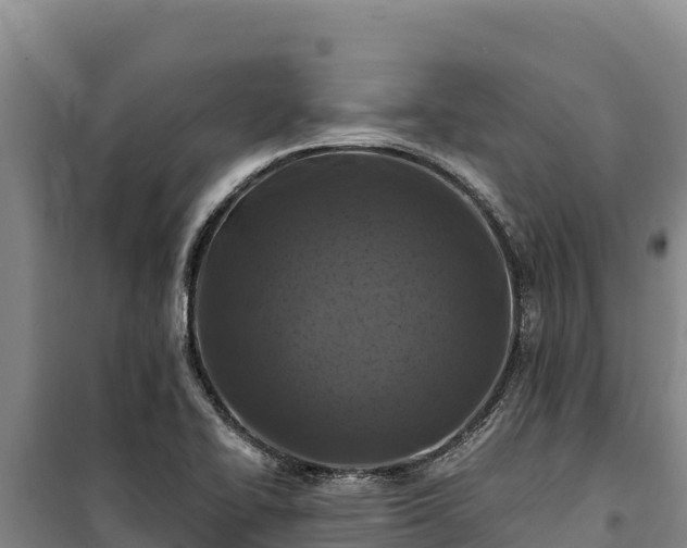 X0000100211414200806061335