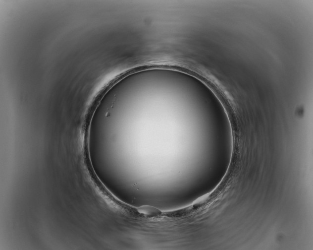 X0000100211416200806061335