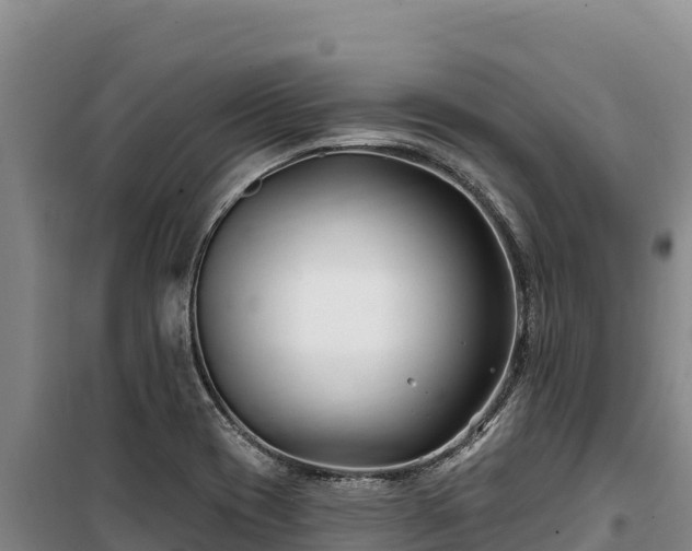 X0000100211417200806061335