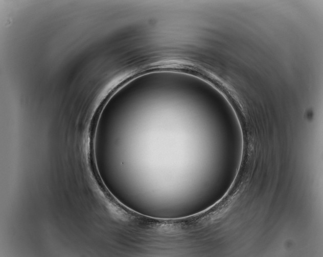 X0000100211418200806061335