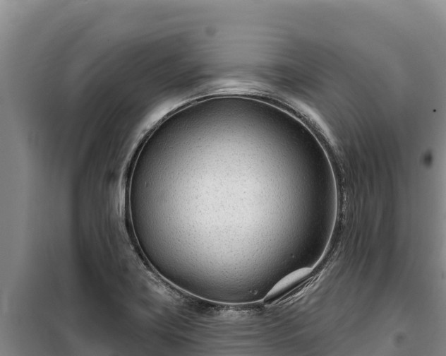 X0000100211419200806061335