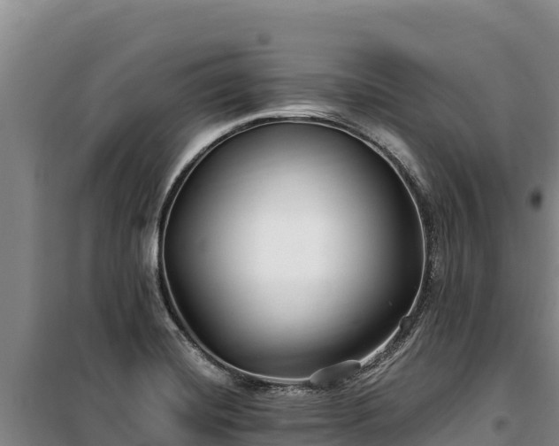 X0000100211420200806061335